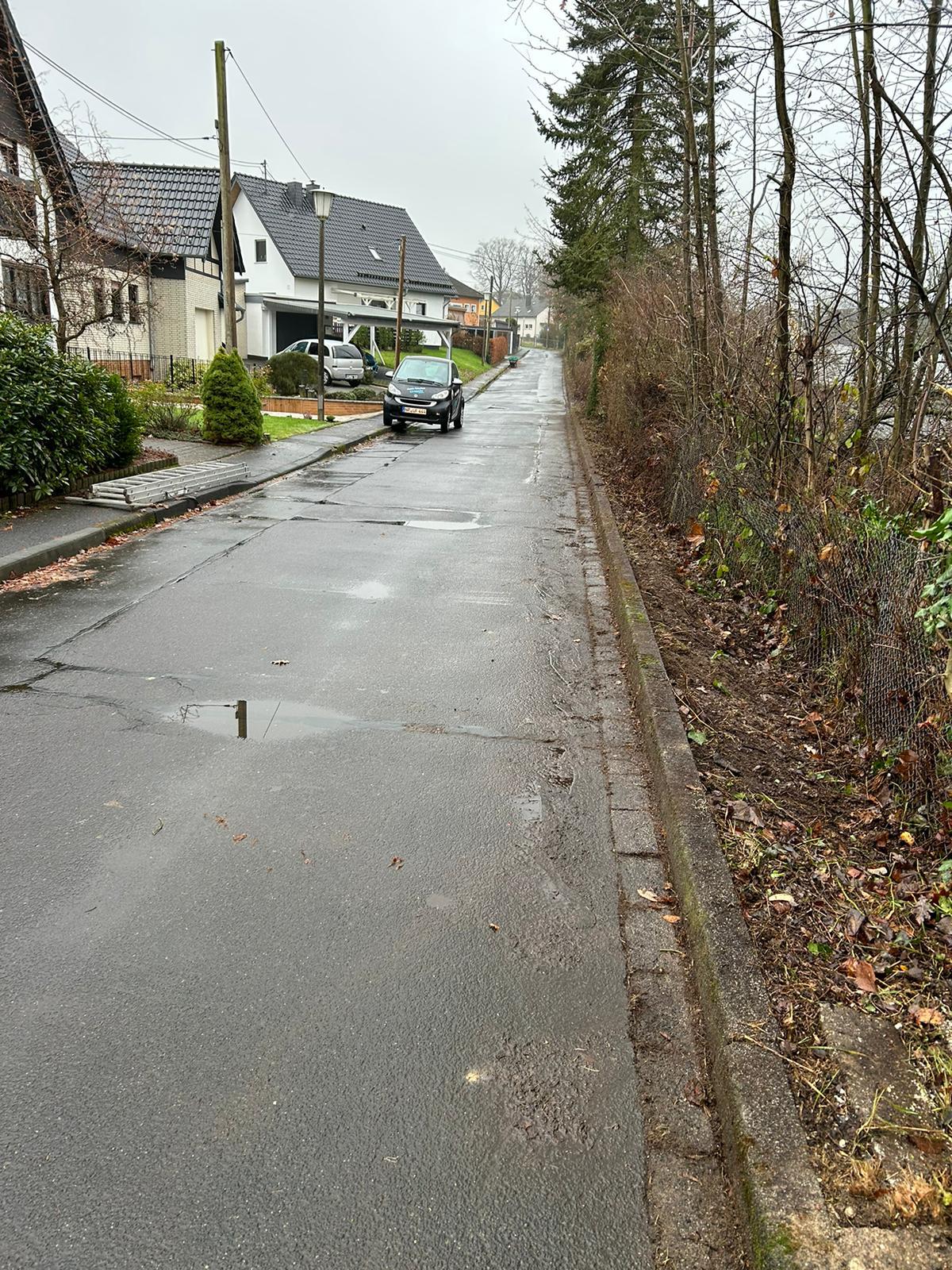 Gartenpflege Projekt 11