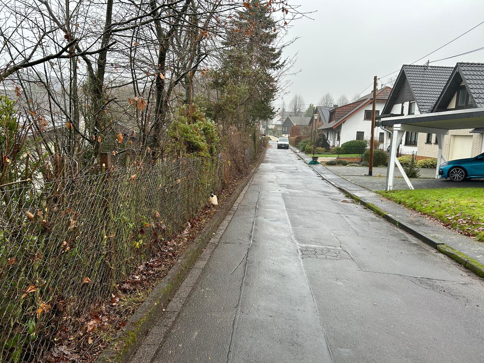 Gartenpflege Projekt 12