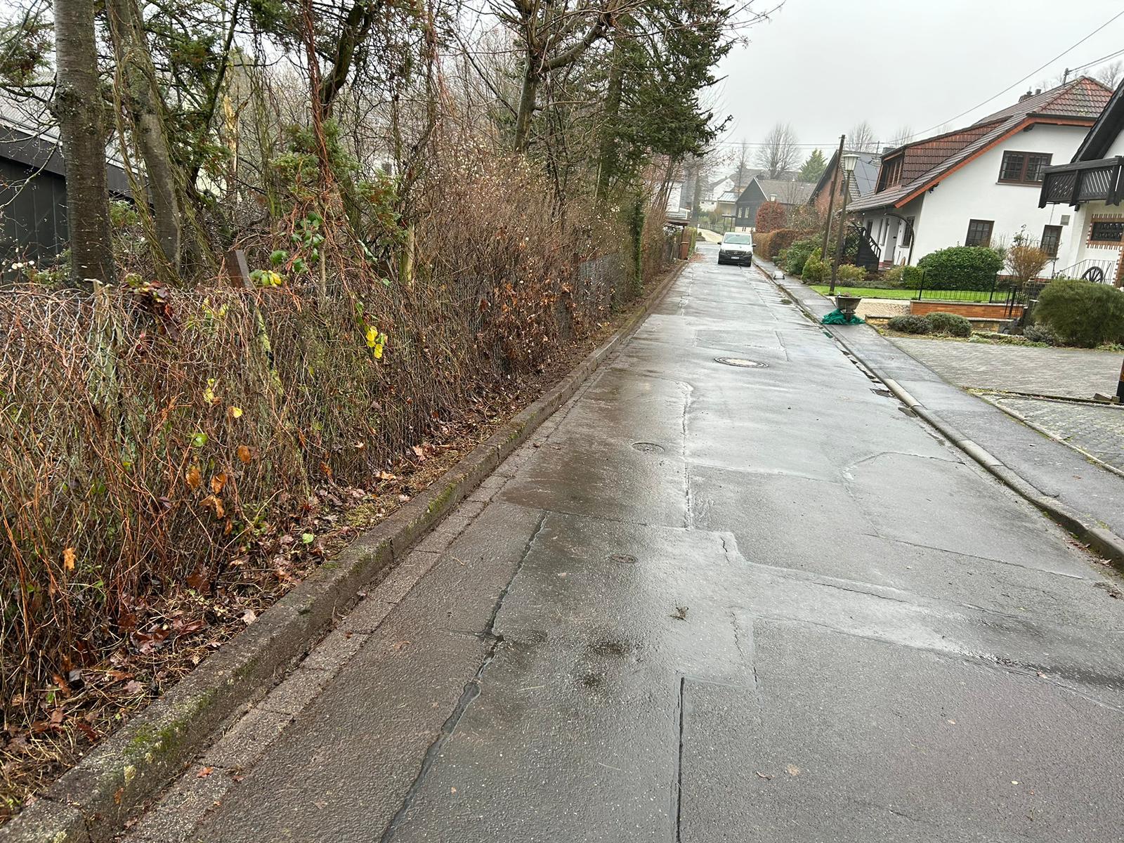 Gartenpflege Projekt 13