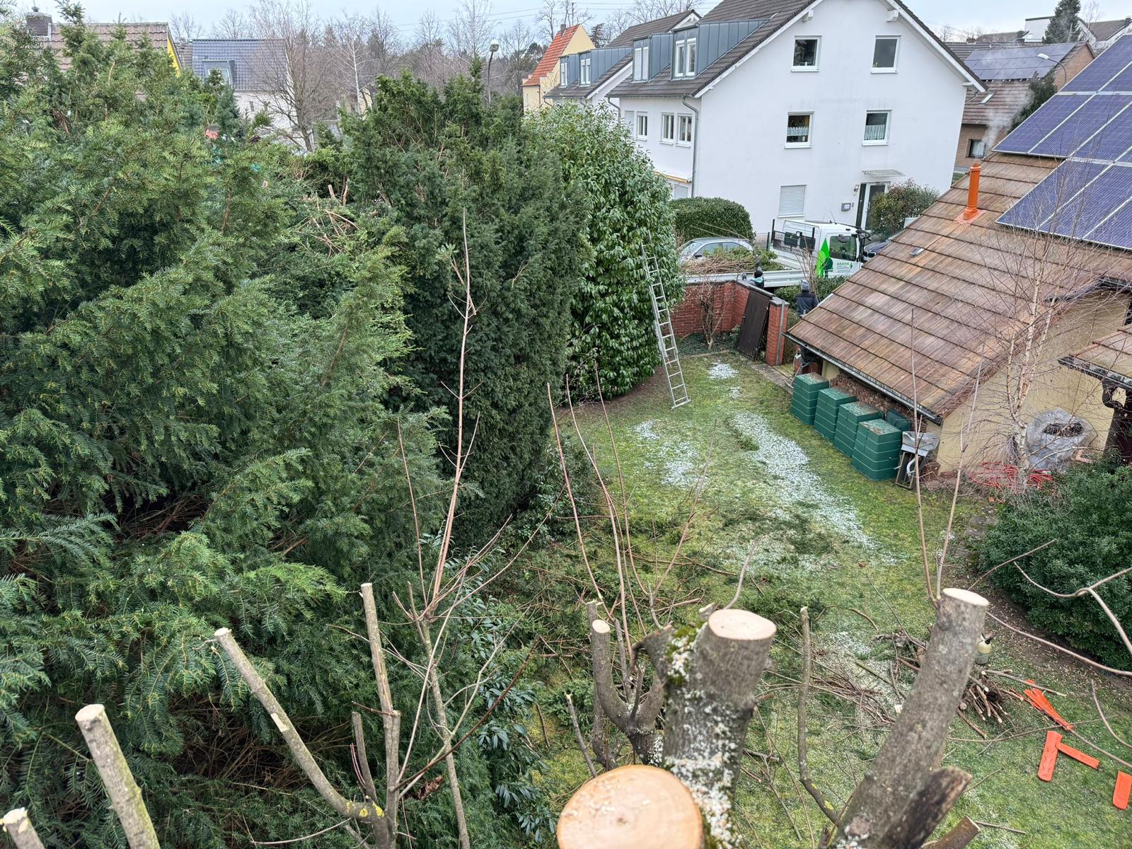 Gartenpflege Projekt 16