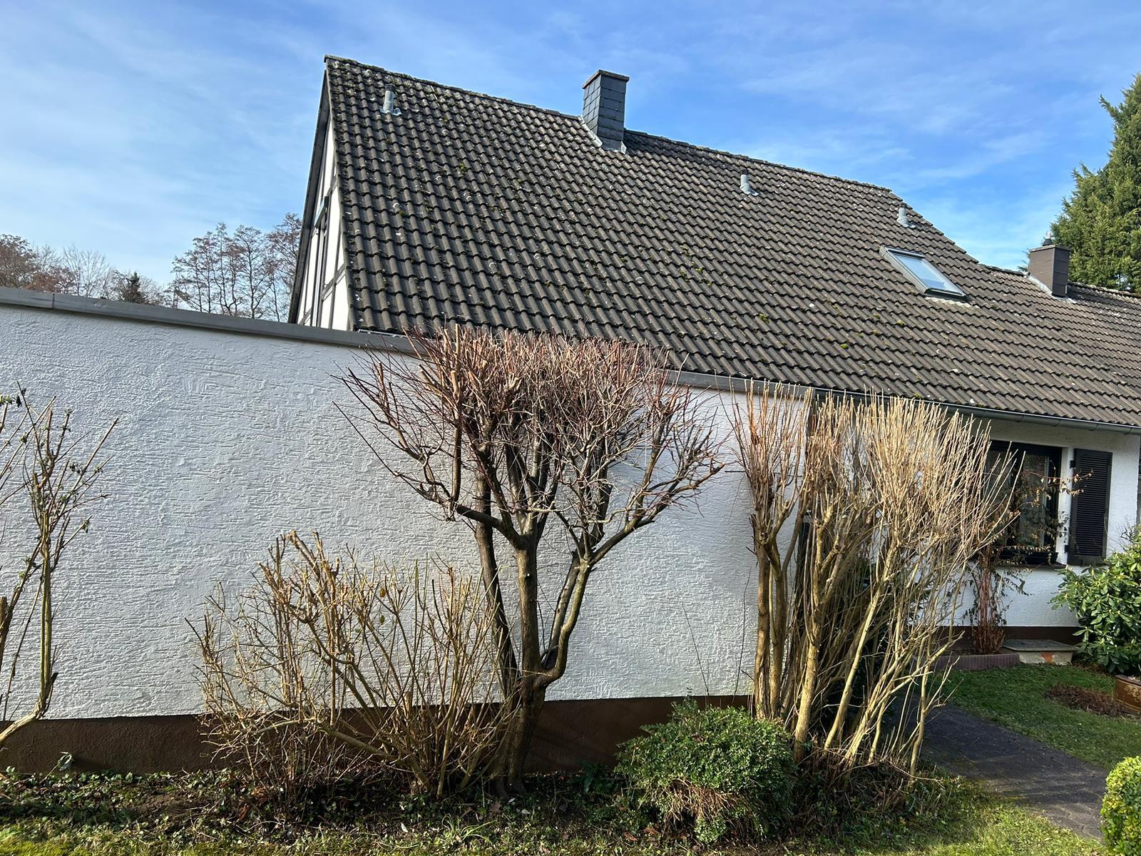 Gartenpflege Projekt 19