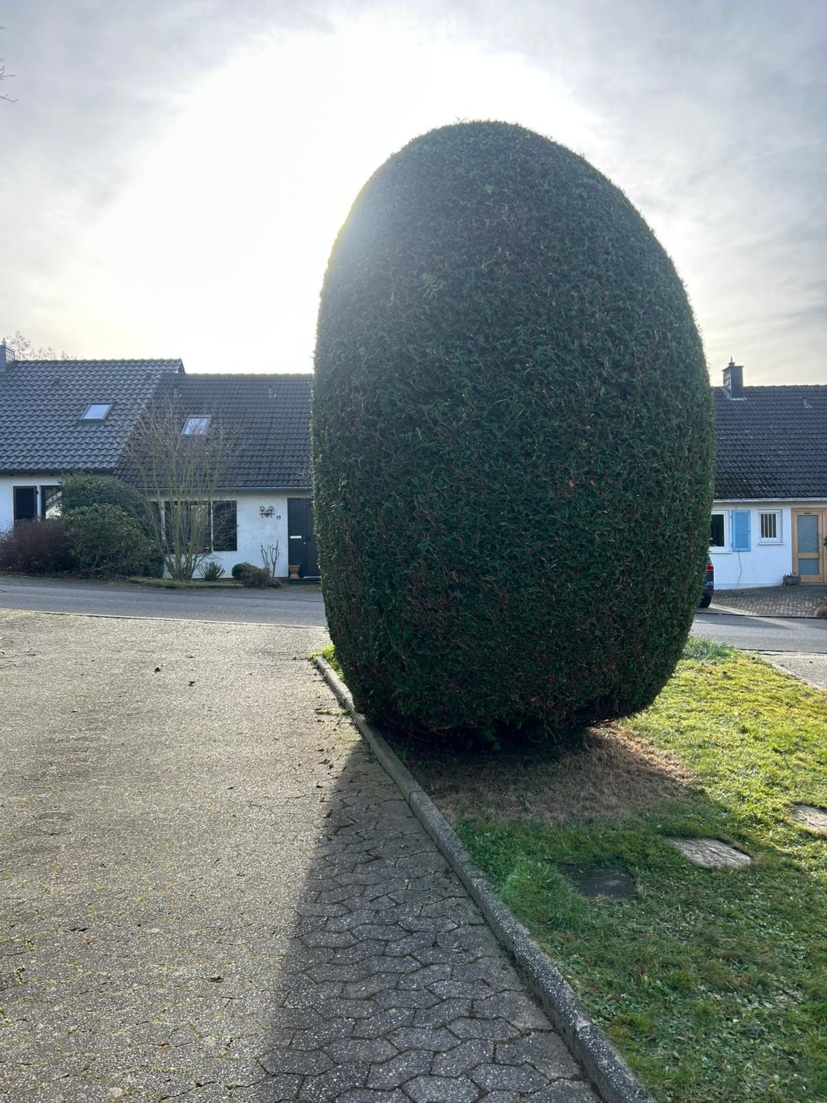 Gartenpflege Projekt 23