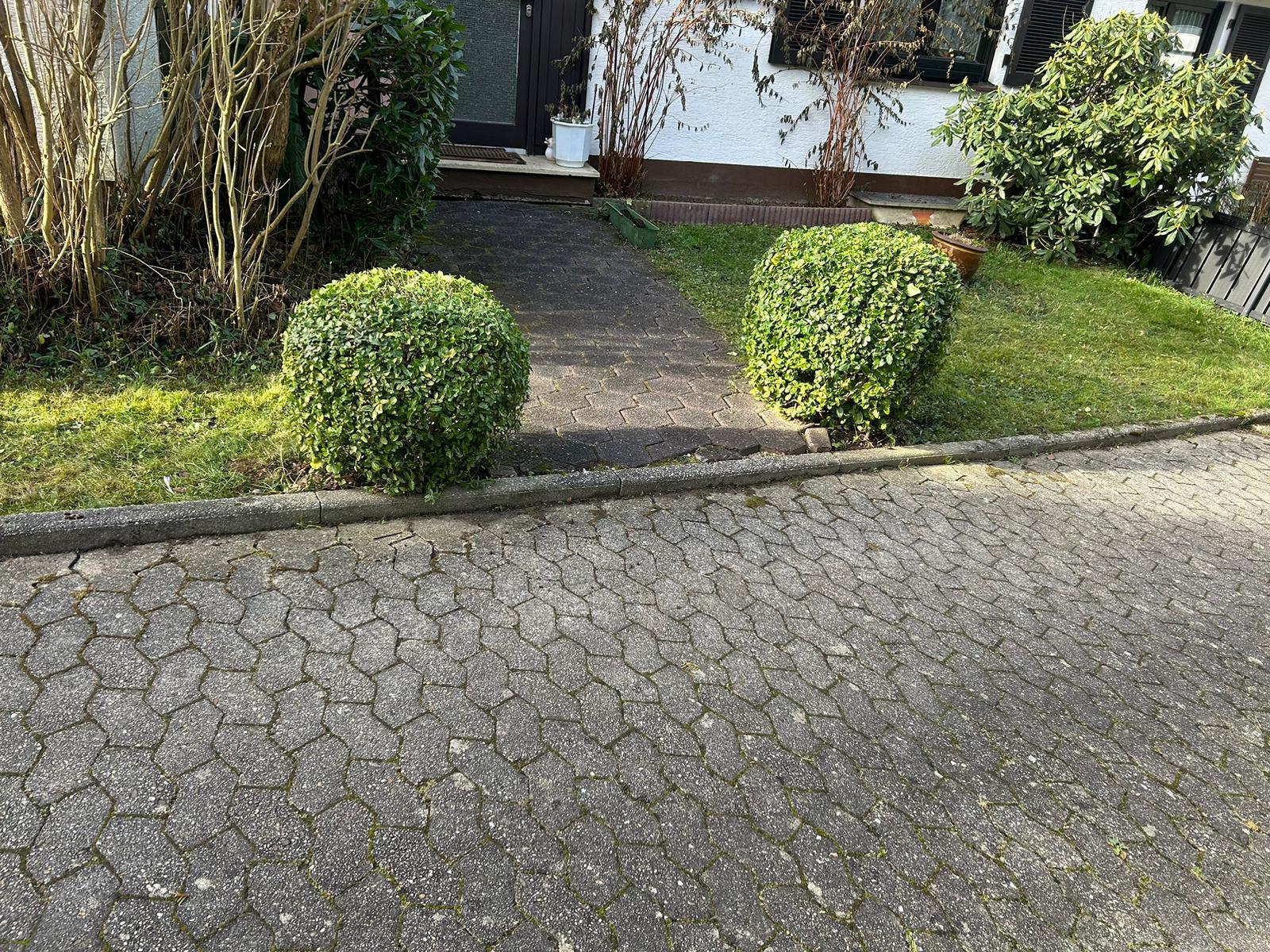 Gartenpflege Projekt 24