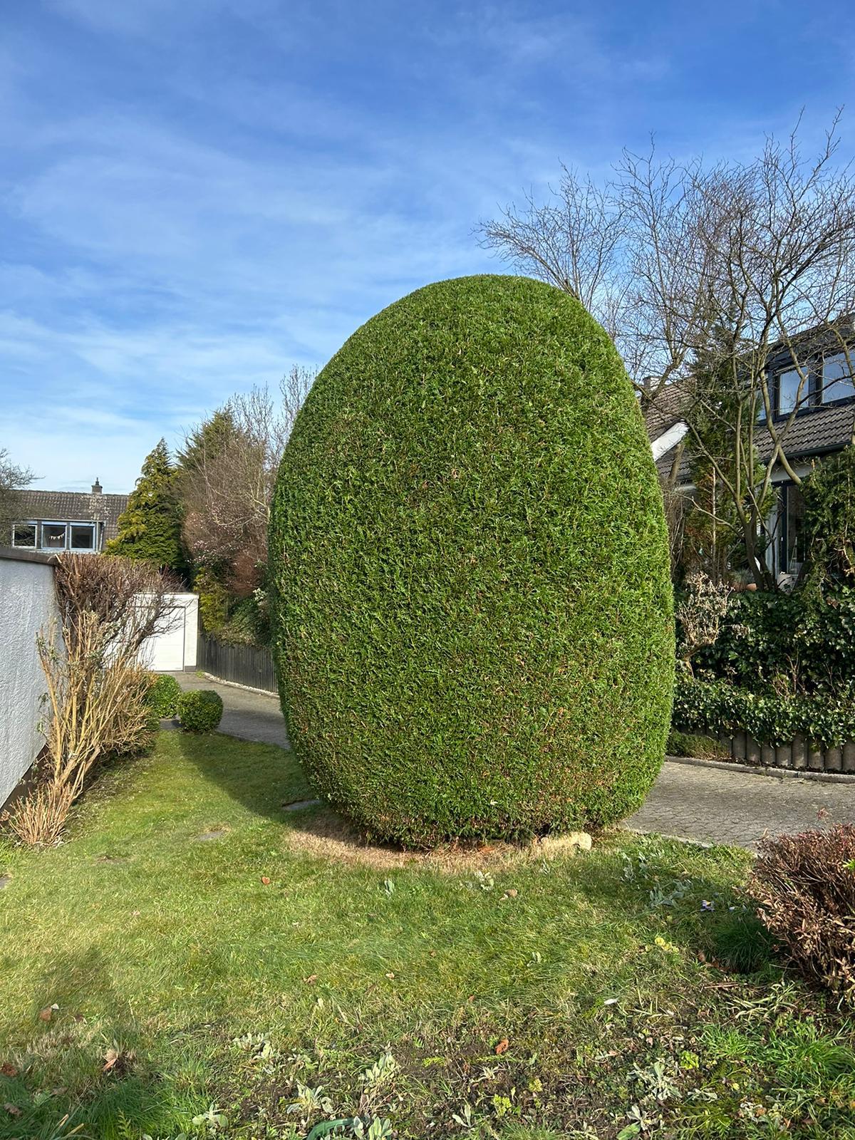 Gartenpflege Projekt 25