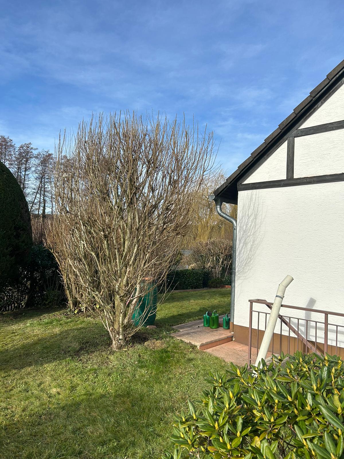 Gartenpflege Projekt 26