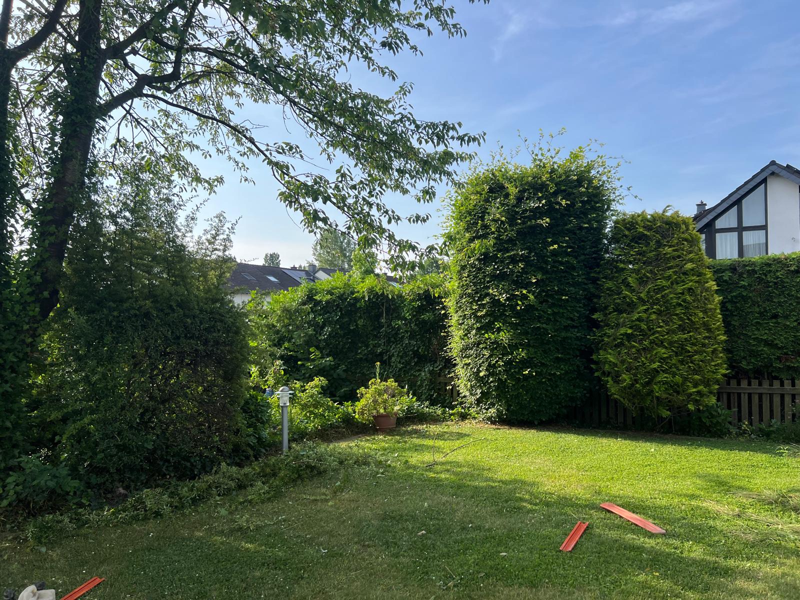 Gartenpflege Projekt 31