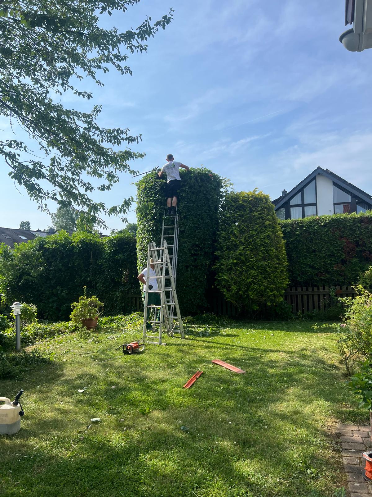 Gartenpflege Projekt 33