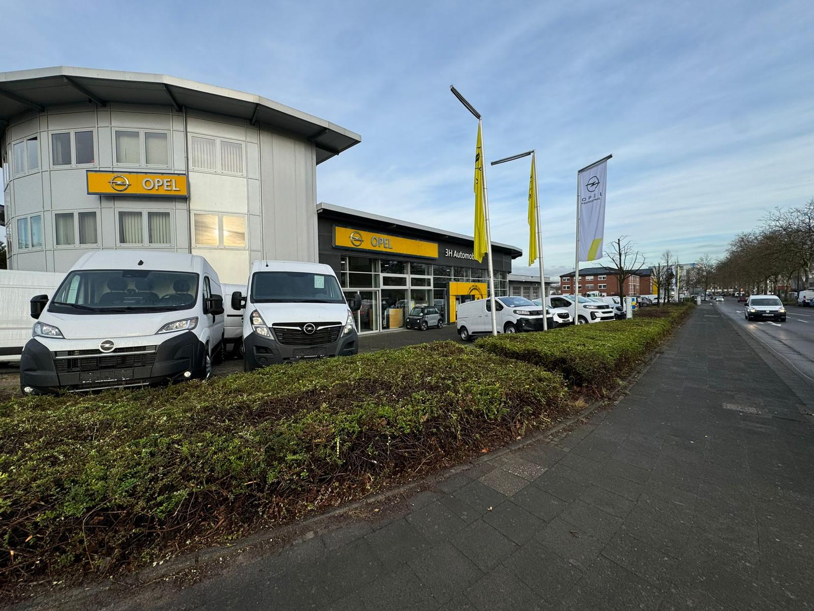 Gartenpflege Projekt 43