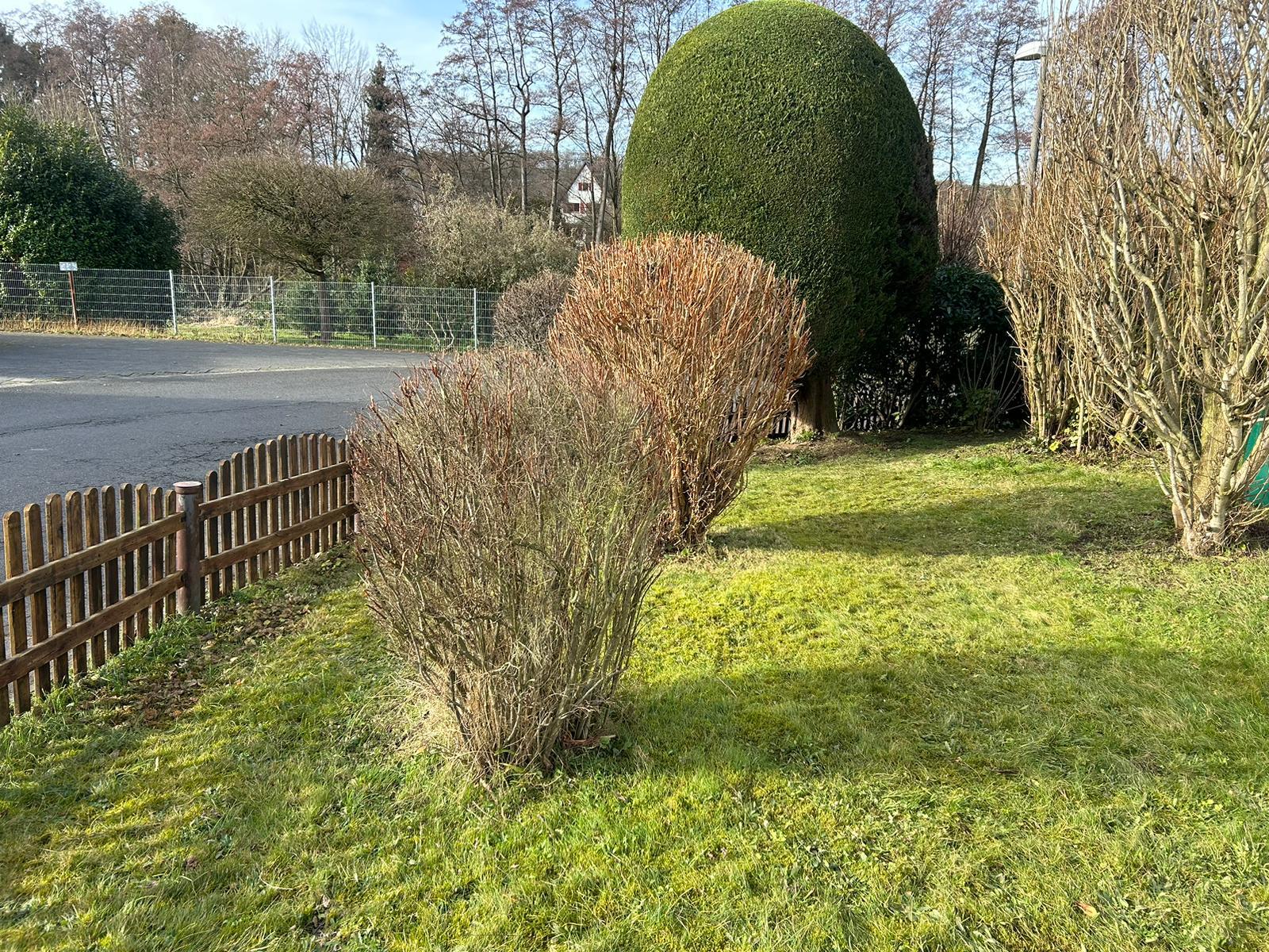 Gartenpflege